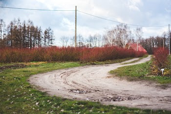 Country road