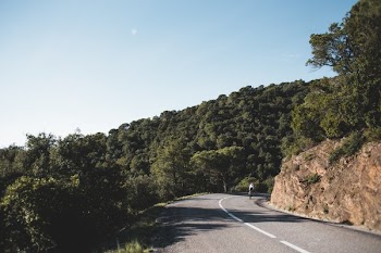 Country Road Cyclist
