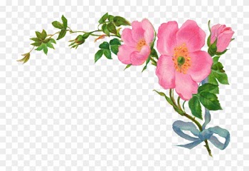 Country Vintage Floral Clipart - Vintage Flower Border Png