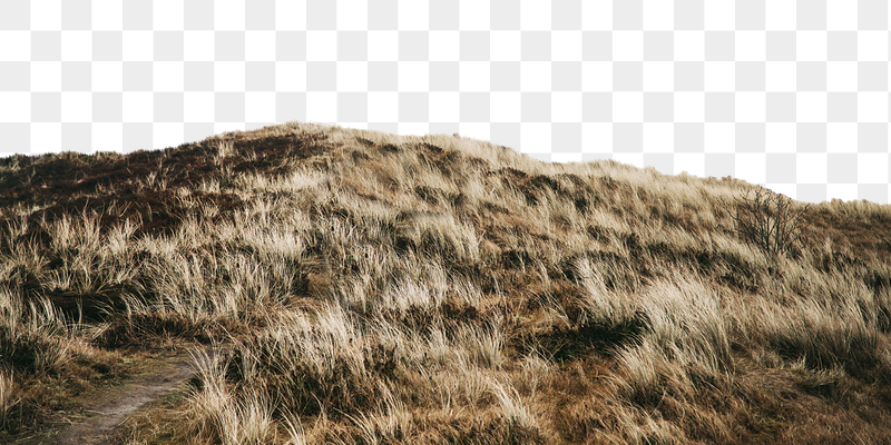 Countryside hill png border, nature | Free PNG - rawpixel