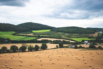 Countryside Landscape