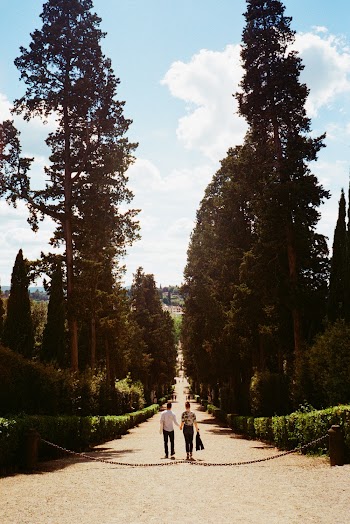 Couple Holding Hands Walking on Path Amid Trees