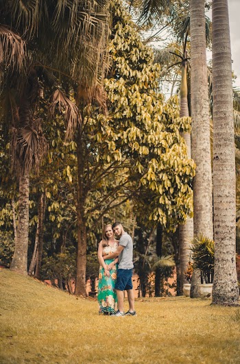 Couple Standing Near Palm Trees