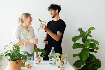 Couple try DIY water propagating their… | Free stock photo | High Resolution image