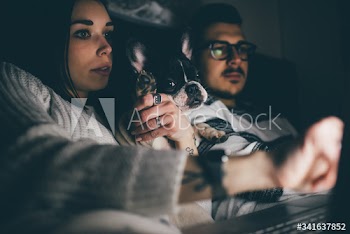 Couple using laptop while lying on bed with dog at home