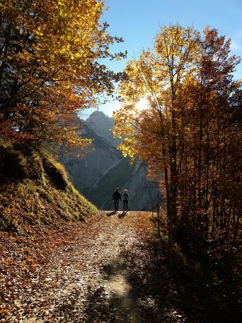 Couple Walking at Pathway Between Trees