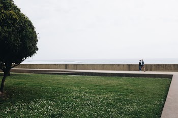 Couple Walking Pathway Near Green Grass
