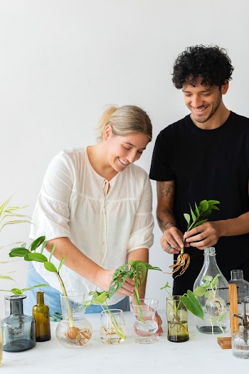 Couple water propagating their houseplants  | Free stock photo | High Resolution image