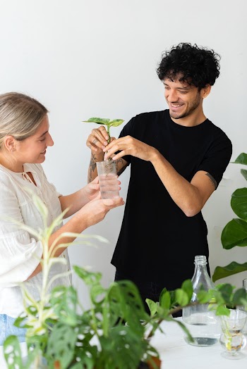 Couple water propagating their houseplants  | Free stock photo | High Resolution image