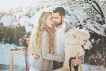 Couple With A Llama