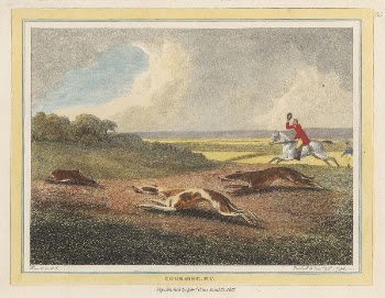 Coursing, Plate 2 | Free Photo - rawpixel
