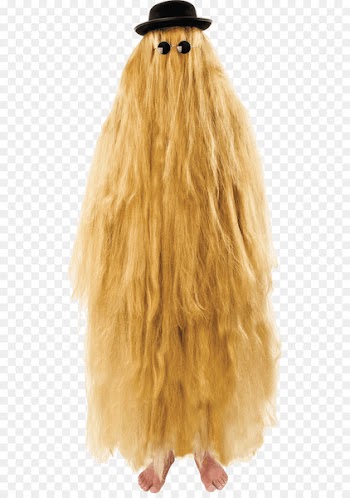 Cousin Itt Wednesday Addams Gomez Addams Costume party - cousin 