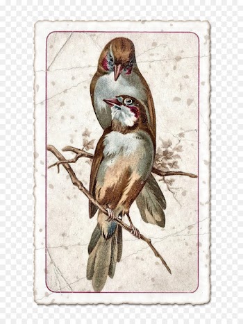 Cover art Rubber stamp Page layout - Vintage  Birds 