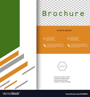 Cover design template annual report cover flyer vector image