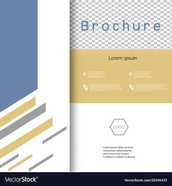 Cover design template annual report cover flyer vector image