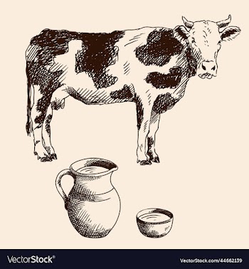cow and a jug of milk