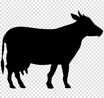 Cow, black and white abstract painting transparent background PNG clipart
