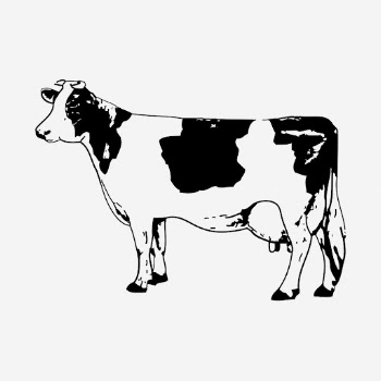 Cow, bull drawing, farm animal | Free Photo - rawpixel