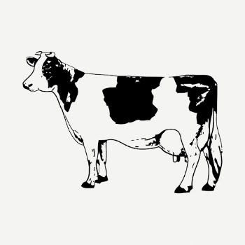 Cow, bull drawing, farm animal | Free PSD - rawpixel