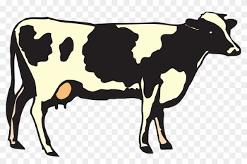 Cow Clip Art - Mexican Word Of The Day Glasses