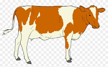 Cow Clipart - Beef Janata Party