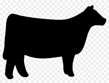 Cow Clipart Heifer - Show Heifer Clip Art