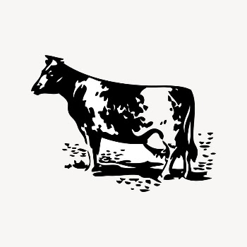 Cow clipart, vintage illustration vector. | Free Vector Illustration - rawpixel