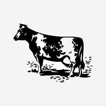 Cow collage element, black & | Free PSD Illustration - rawpixel