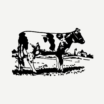 Cow collage element, black & | Free PSD - rawpixel
