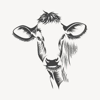 Cow drawing sticker, farm line | Free PSD - rawpixel