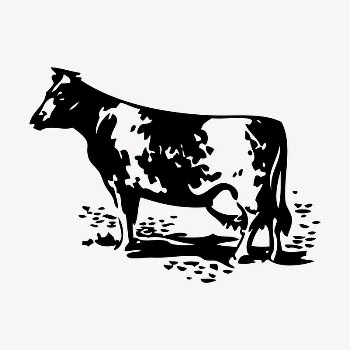 Cow, farm animal drawing, vintage | Free Vector - rawpixel
