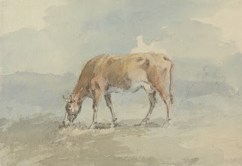 Cow Grazing | Free Photo - rawpixel