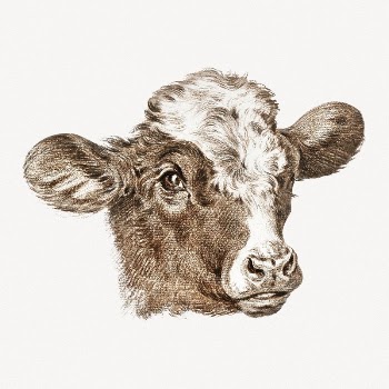 Cow head collage element, farm | Free PSD Illustration - rawpixel