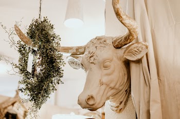 Cow Head Mount