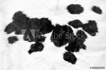 Cow hide background