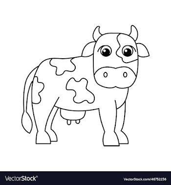 cow isolated on white background