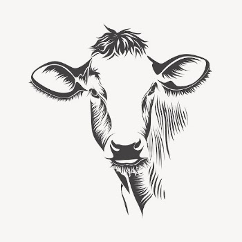 Cow line art, farm animal | Free Photo - rawpixel
