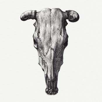 Cow skull collage element, Jean | Free PSD Illustration - rawpixel