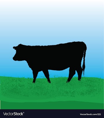 Cow vector image