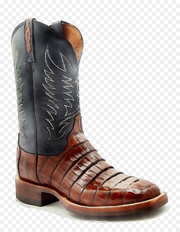 Cowboy boot Shoe -  