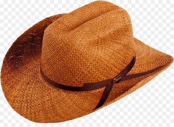 Cowboy hat