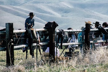 Cowboys Leaning on Brown Fence