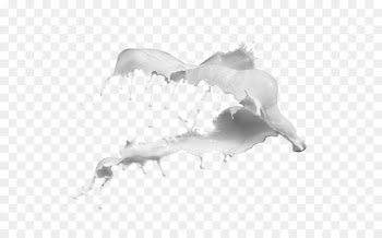 Cows milk Splash - Milk Splash 