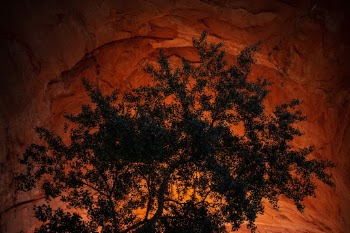 Coyote Gulch Arch. This is the underside of the famous arch that is usually shot with a wide angle lens. I caught this during the morning sun with the reflection from the water lighting up the arch. 