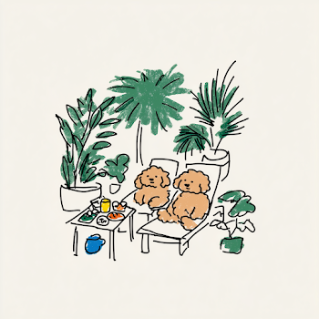 Cozy Cavoodles Relaxing Under a Tree