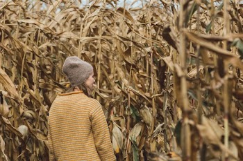 Cozy Fall Fashion In Field