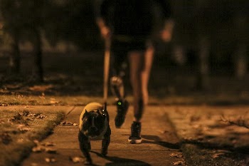 Cpl. Rory Hamill, a combat-wounded | Free Photo - rawpixel