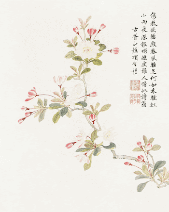 Crab-apple blossom (1656) vintage Chinese | Free Photo Illustration - rawpixel