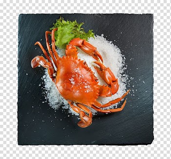 Crab cake Restaurant Fishers In The City Seafood, Crabs transparent background PNG clipart