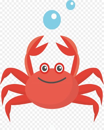 Crab Cartoon Drawing Illustration - Lovely little crab 